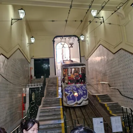 Heart Of - Bica Daire